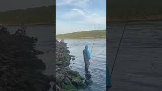 Cape cod canal fishing [upl. by Brittany]