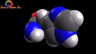 Histidina Molécula en 3D  Aminoácidos [upl. by Leeann]