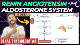 renin angiotensin aldosterone system renal physiology  renin pathway physiology  RAAS physiology [upl. by Sillad]