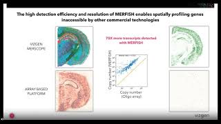 Webinar GABA receptive microglia selectively sculpt developing inhibitory circuits [upl. by Ybbed624]