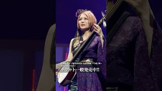 チケット発売中！ 和楽器バンド wagakkiband 日本武道館 shorts [upl. by Eniledgam]