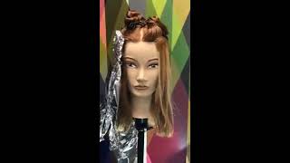 Wella How to Color Hair with Wella Color Charm Paints [upl. by Atiana]