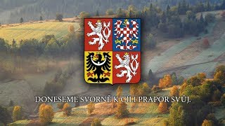 Czech Sokol March  quotJdou sokolské šikyquot [upl. by Calen]