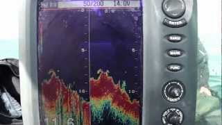 Airmar TM270W 50 KHz vs 200 KHz on Furuno 585 sounder [upl. by Zehc307]