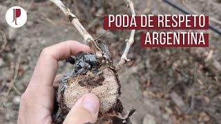 Poda de respeto Argentina [upl. by Atinra]