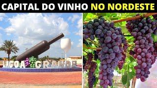 8 CIDADES NO MEIO DO NORDESTE QUE PRODUZEM VINHOS [upl. by Eciruam832]