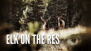 Elk Hunt on the Reservation  New Mexico Elk Hunt [upl. by Karney223]