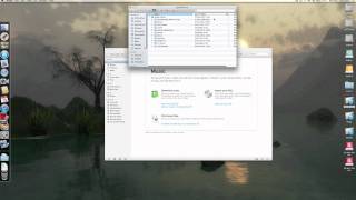 iTunes Library Import [upl. by Anthe]