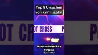 Top 5 Ursachen von Kriminalität [upl. by Nudnarb]