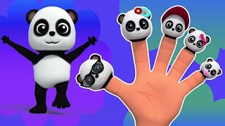 panda doigt Famille  comptine  Finger Family Song  Babies Rhyme  Kids Song  Panda Finger Family [upl. by Anzovin]