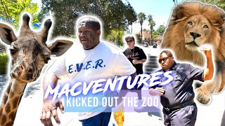 We Got Kicked Out Of The LA ZOO [upl. by Mcfarland]