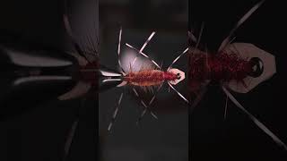 A great stonefly pattern for brown trout Elden’s Red Ant [upl. by Leilani]