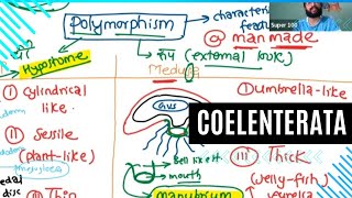 PHYLUM COELENTERATA [upl. by Adas]