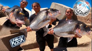 💥DORADA BESTIAL XXL💥 CON CANGREJO🦀LO CONSEGUIMOS UNA VEZ MÁSSURFCASTING 8TATTOO Mes DE JULIO [upl. by Adlar]