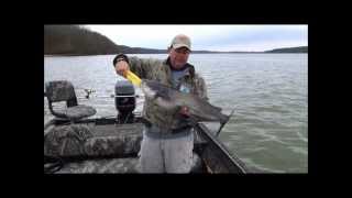 Brian Barton Trolling for Pickwick Catfish [upl. by Tadashi]