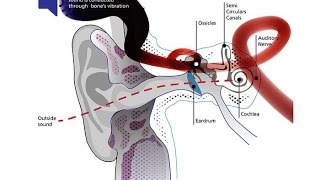 The fantastic Buhel Intercom System using Bone Conduction Technology [upl. by Walcoff]