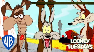 Looney Tuesdays  Ralph VS Wile E Coyote  Looney Tunes  wbkids [upl. by Chae]