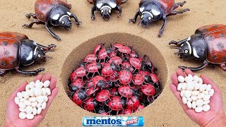 Mentos VS Coca Cola Sprite Monster Fanta different Toy insect and Mentos in underground [upl. by Deb]