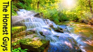 8 HOURS Relaxing Nature SoundsSleepStudyMeditationSpa Water Sounds Bird Song [upl. by Hewe]