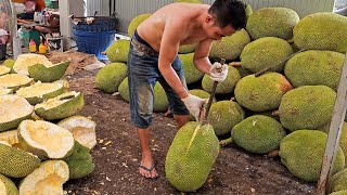 Must Try Best Tropical Fruit Collection  Fruit Cutting Skills [upl. by Telfore]