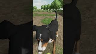 Purebred Good Boy in FS22 fs22 farmingsimulator22 farming farmer simfarmer dog doghouse [upl. by Gnanmas]