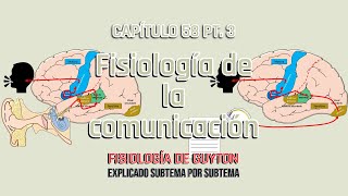 CAP 58 35 Fisiología de la comunicación [upl. by Chas]