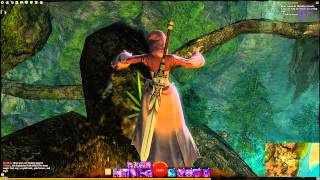 Guild Wars 2 Straits Of Devastation Vista  Lightfoot Passage [upl. by Johnathon]