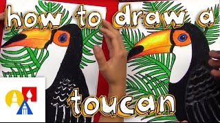 How To Draw A Realistic Toucan [upl. by Peednama]