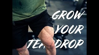 How To Train Your Inner Quads  Vastus Medialis quotThe Teardropquot [upl. by Sigvard561]