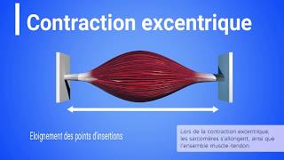 CONCENTRIQUE EXCENTRIQUE ISOMETRIQUE EN 3 MINUTES [upl. by Ruhtra]