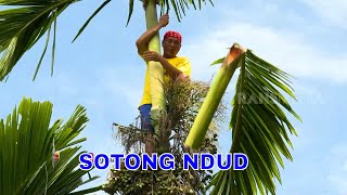 Ikhmal Nour  Pandang Pandang Official Music Video [upl. by Neellek]