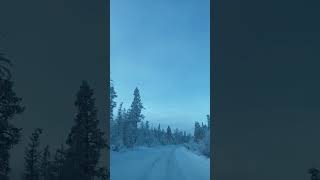 The road to the COLDEST VILLAGE on Earth  Kolyma highway in Yakutia Russia [upl. by Ennahtebazile]