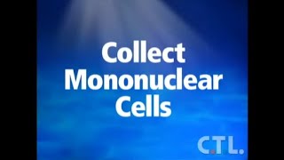 Collect Mononuclear Cells [upl. by Mcallister599]