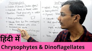 Kingdom Protista  Chrysophytes and Dinoflagellates in Hindi [upl. by Lannie]