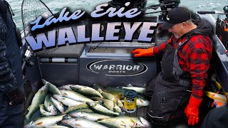 Catching PILES of WALLEYE on Lake Erie [upl. by Phaedra441]