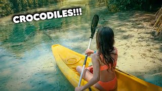 Kayaking con COCODRILOS 🐊🚣‍♀️🌳 SUV CAMPERIZADA 🚐🏕️  FLORIDA SPRINGS [upl. by Ailito]