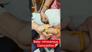 Baby intravenous cannulation  intravenous shorts trending subscribe hospital SMpharmacy [upl. by Inig]