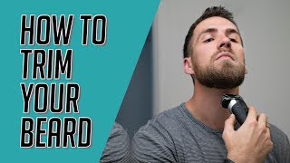 How to PROPERLY Trim and Groom Your Beard Beard oil Beard Wash etc [upl. by Ziza824]