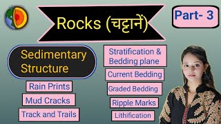 Structure of Sedimentary Rocks  Part3 Sedimentary Rocks [upl. by Rachele106]