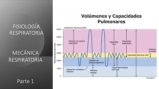 Fisiología Respiratoria Mecánica respiratoria  Primera parte [upl. by Rahmann]