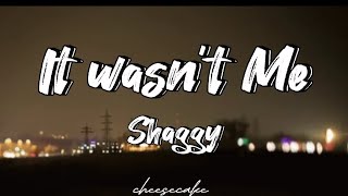 Shaggy  It wasnt me Lyrics [upl. by Newell]