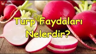 Turp Faydaları Nelerdir [upl. by Pattie644]