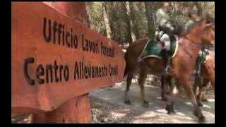 Documentario su Riserva naturale orientata Monte Cammarata [upl. by Annnora]