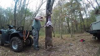 Whitetail Deer Skinning Made Easy For a Solo Hunter [upl. by Naujej66]