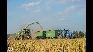 Mais häckseln  John Deere 8400i  New Holland FR600  AgroService Luckau GmbH [upl. by Ramey]