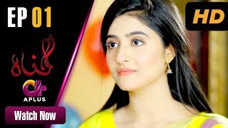 Gunnah  EP 1  Aplus Sara Elahi Shamoon Abbasi Asad Malik  Pakistani Drama  C3M1 [upl. by Sperling]