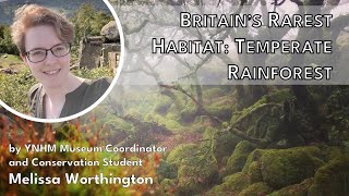 Britains Rarest Habitat Temperate Rainforest  Melissa Worthington Anning Lectures [upl. by Marcellina756]