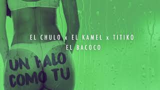 El Chulo x El Kamel x El Bacoco x Titico  Un Palo Como Tu [upl. by Samohtnhoj484]