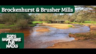 94 Robs Hampshire Pub Walks  Brockenhurst amp Brusher Mills Walk  New Forest National Park [upl. by Phillane]