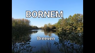 Bornem  Sporten recreatiecentrum Breeven [upl. by Selrahcnhoj]